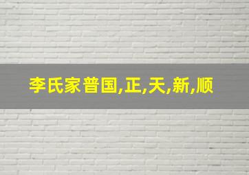 李氏家普国,正,天,新,顺