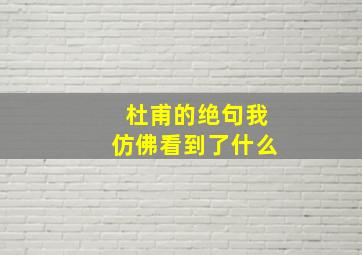 杜甫的绝句我仿佛看到了什么