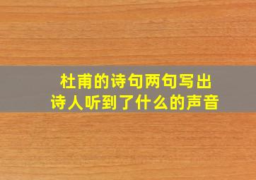 杜甫的诗句两句写出诗人听到了什么的声音