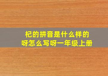 杞的拼音是什么样的呀怎么写呀一年级上册