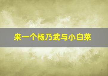 来一个杨乃武与小白菜