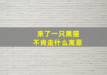 来了一只黑猫不肯走什么寓意