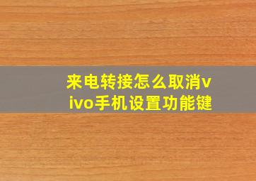 来电转接怎么取消vivo手机设置功能键