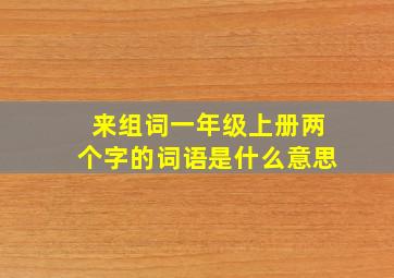 来组词一年级上册两个字的词语是什么意思