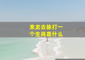 来龙去脉打一个生肖是什么