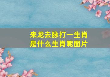 来龙去脉打一生肖是什么生肖呢图片