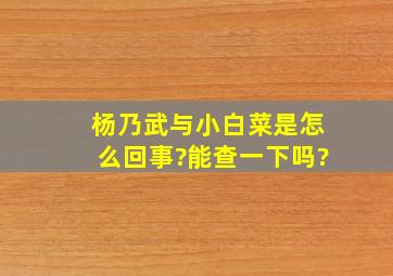 杨乃武与小白菜是怎么回事?能查一下吗?