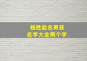 杨姓起名男孩名字大全两个字