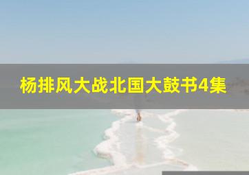 杨排风大战北国大鼓书4集