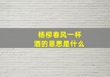 杨柳春风一杯酒的意思是什么