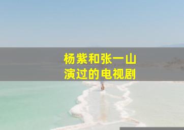 杨紫和张一山演过的电视剧