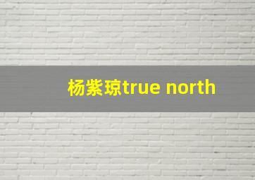 杨紫琼true north