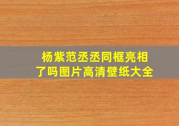 杨紫范丞丞同框亮相了吗图片高清壁纸大全