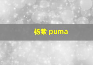 杨紫 puma