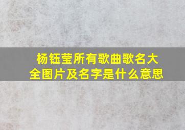 杨钰莹所有歌曲歌名大全图片及名字是什么意思