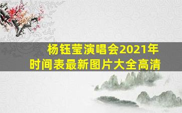 杨钰莹演唱会2021年时间表最新图片大全高清