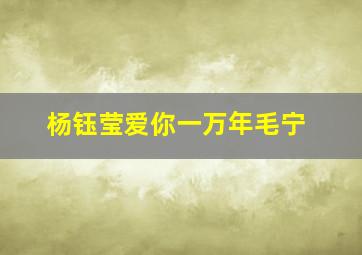 杨钰莹爱你一万年毛宁