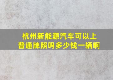 杭州新能源汽车可以上普通牌照吗多少钱一辆啊