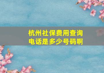 杭州社保费用查询电话是多少号码啊