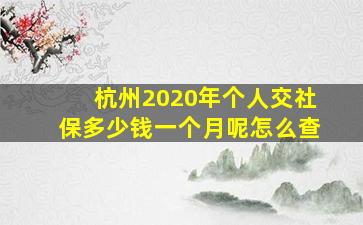 杭州2020年个人交社保多少钱一个月呢怎么查