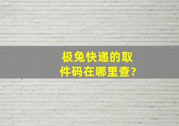 极兔快递的取件码在哪里查?