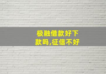 极融借款好下款吗,征信不好