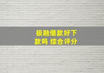 极融借款好下款吗 综合评分