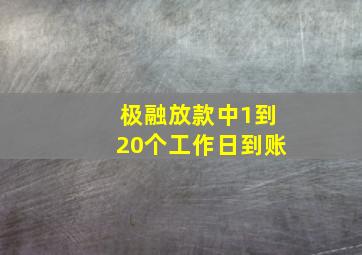 极融放款中1到20个工作日到账