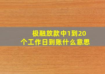 极融放款中1到20个工作日到账什么意思