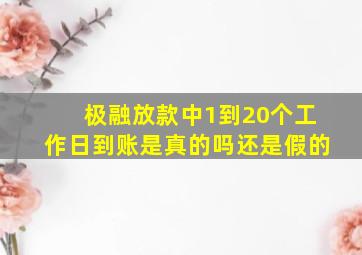 极融放款中1到20个工作日到账是真的吗还是假的