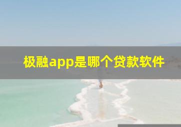 极融app是哪个贷款软件