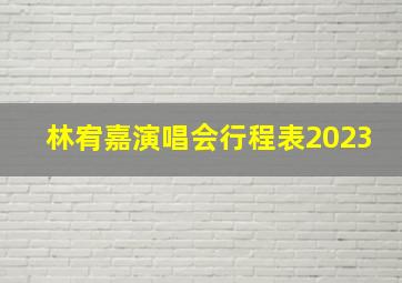 林宥嘉演唱会行程表2023