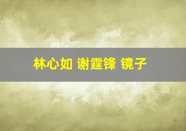 林心如 谢霆锋 镜子