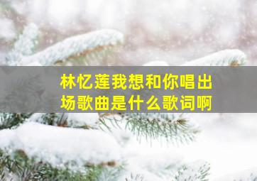 林忆莲我想和你唱出场歌曲是什么歌词啊