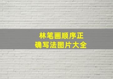 林笔画顺序正确写法图片大全