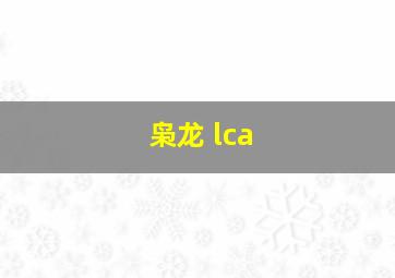 枭龙 lca