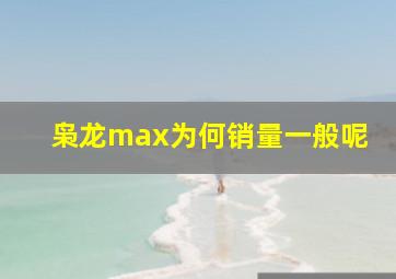 枭龙max为何销量一般呢