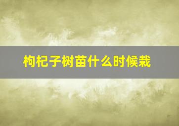 枸杞子树苗什么时候栽