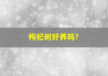 枸杞树好养吗?