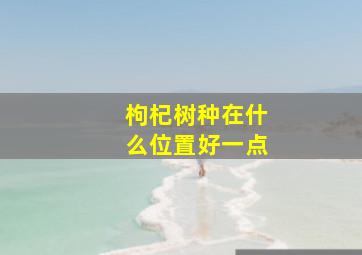 枸杞树种在什么位置好一点