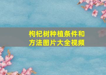 枸杞树种植条件和方法图片大全视频