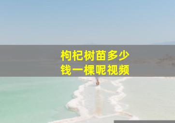 枸杞树苗多少钱一棵呢视频