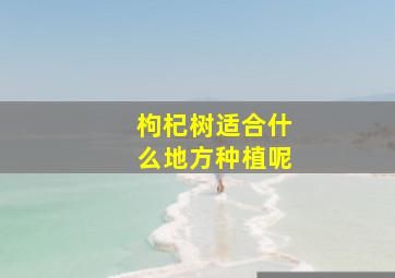 枸杞树适合什么地方种植呢