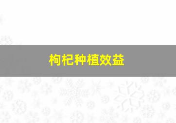 枸杞种植效益