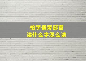 柏字偏旁部首读什么字怎么读