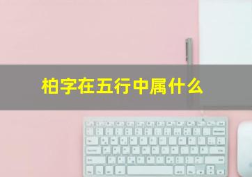 柏字在五行中属什么