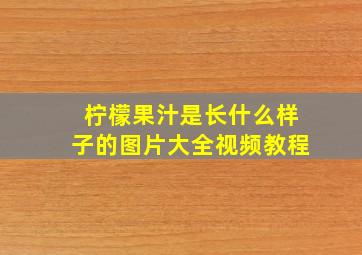 柠檬果汁是长什么样子的图片大全视频教程