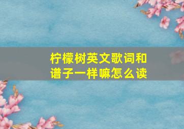 柠檬树英文歌词和谱子一样嘛怎么读