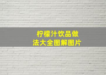 柠檬汁饮品做法大全图解图片