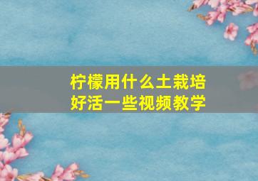 柠檬用什么土栽培好活一些视频教学